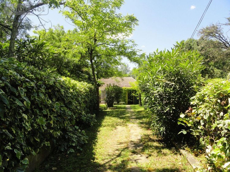 propriete a vendre Bouillargues 30230 Gard 232 m2 10 pièces 318000 euros