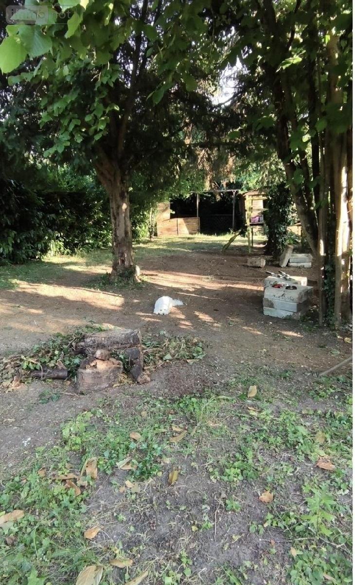 Location appartement Orléans 45000 Loiret 60 m2 3 pièces 950 euros