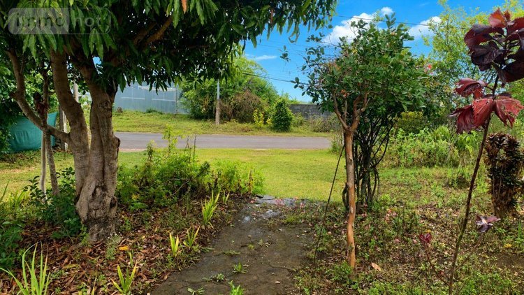 Maison a vendre Le-Guillaume 97423 Réunion 100 m2 5 pièces 264500 euros