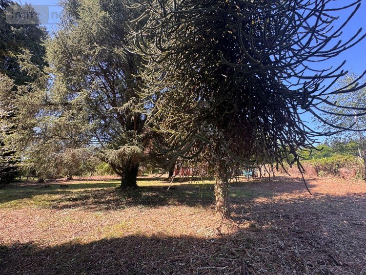 Maison a vendre La Croisille-sur-Briance 87130 Haute-Vienne 63 m2 2 pièces 59675 euros