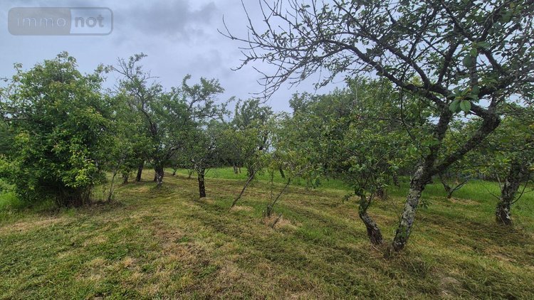 Maison a vendre Montchevrier 36140 Indre 105 m2 4 pièces 130000 euros