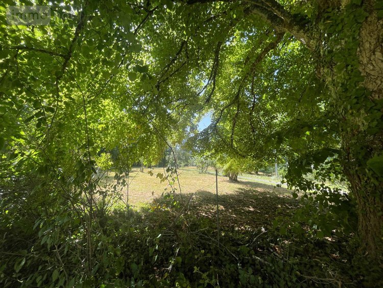 Maison a vendre Siorac-de-Ribérac 24600 Dordogne 214 m2 5 pièces 360120 euros