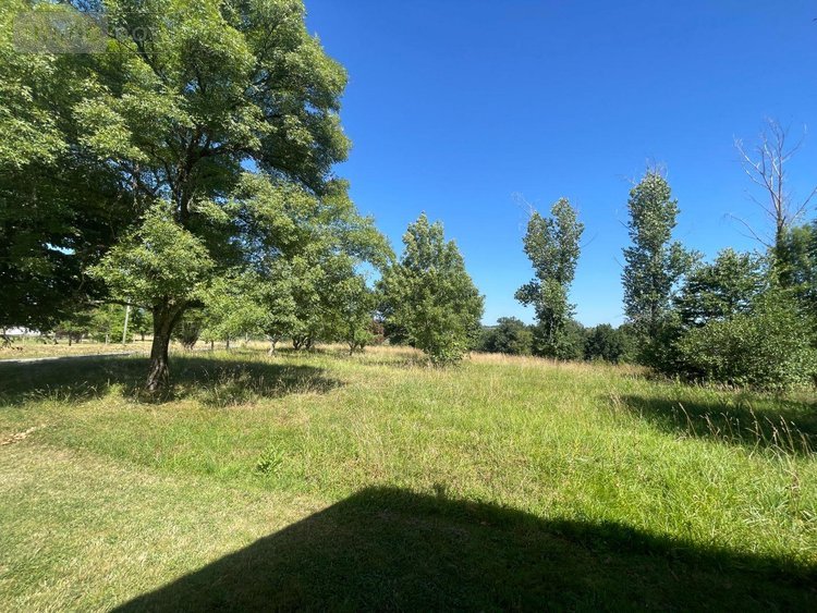 Maison a vendre Siorac-de-Ribérac 24600 Dordogne 214 m2 5 pièces 360120 euros