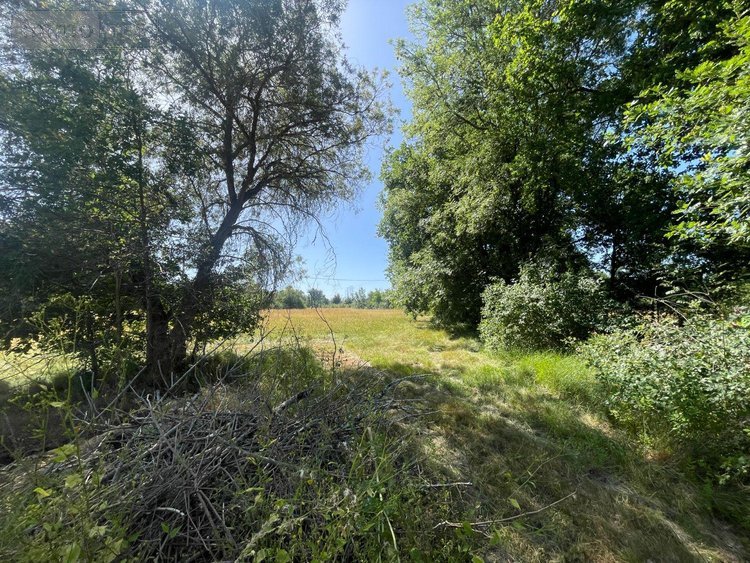 Maison a vendre Siorac-de-Ribérac 24600 Dordogne 214 m2 5 pièces 360120 euros