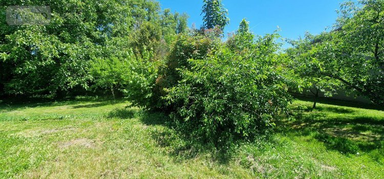 Maison a vendre Louhans 71500 Saône-et-Loire 125 m2 5 pièces 79000 euros