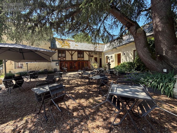 Maison a vendre Beaumont-en-Véron 37420 Indre-et-Loire 1100 m2 45 pièces 792320 euros