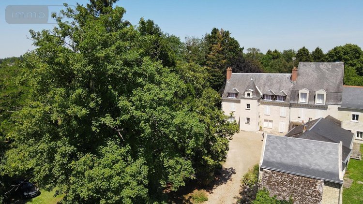 Maison a vendre Beaumont-en-Véron 37420 Indre-et-Loire 1100 m2 45 pièces 792320 euros