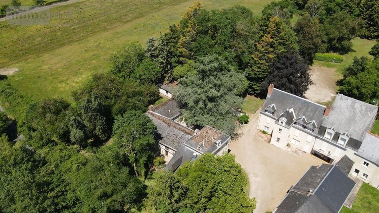 Maison a vendre Beaumont-en-Véron 37420 Indre-et-Loire 1100 m2 45 pièces 792320 euros