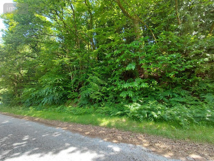Maison a vendre Cléguérec 56480 Morbihan 67 m2 3 pièces 106000 euros