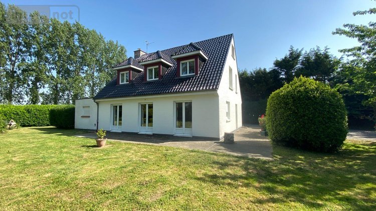 Maison a vendre Wormhout 59470 Nord 135 m2 5 pièces 310000 euros