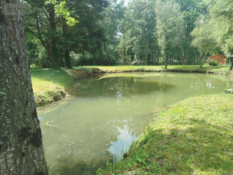 Terrains de loisirs bois etangs a vendre Saint-Georges-du-Bois 72700 Sarthe 4350 m2  35000 euros