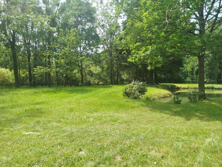 Terrains de loisirs bois etangs a vendre Saint-Georges-du-Bois 72700 Sarthe 4350 m2  35000 euros