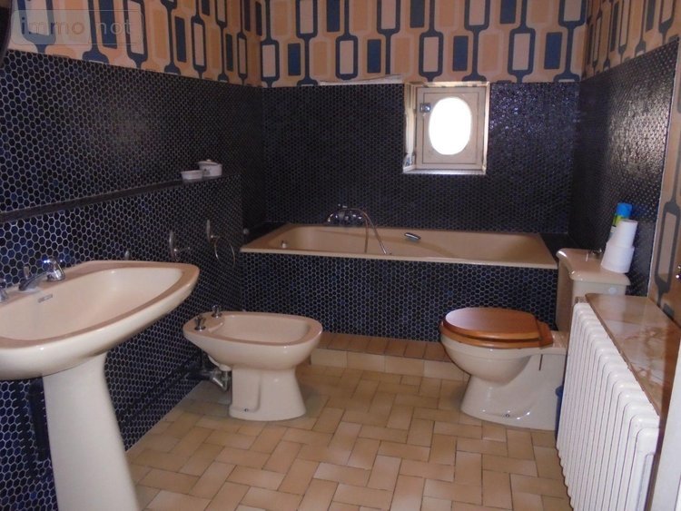 Maison a vendre Josnes 41370 Loir-et-Cher 150 m2 5 pièces 147300 euros