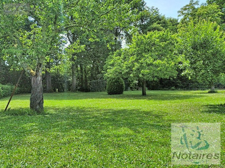 Maison a vendre Cursan 33670 Gironde 83 m2 4 pièces 229000 euros