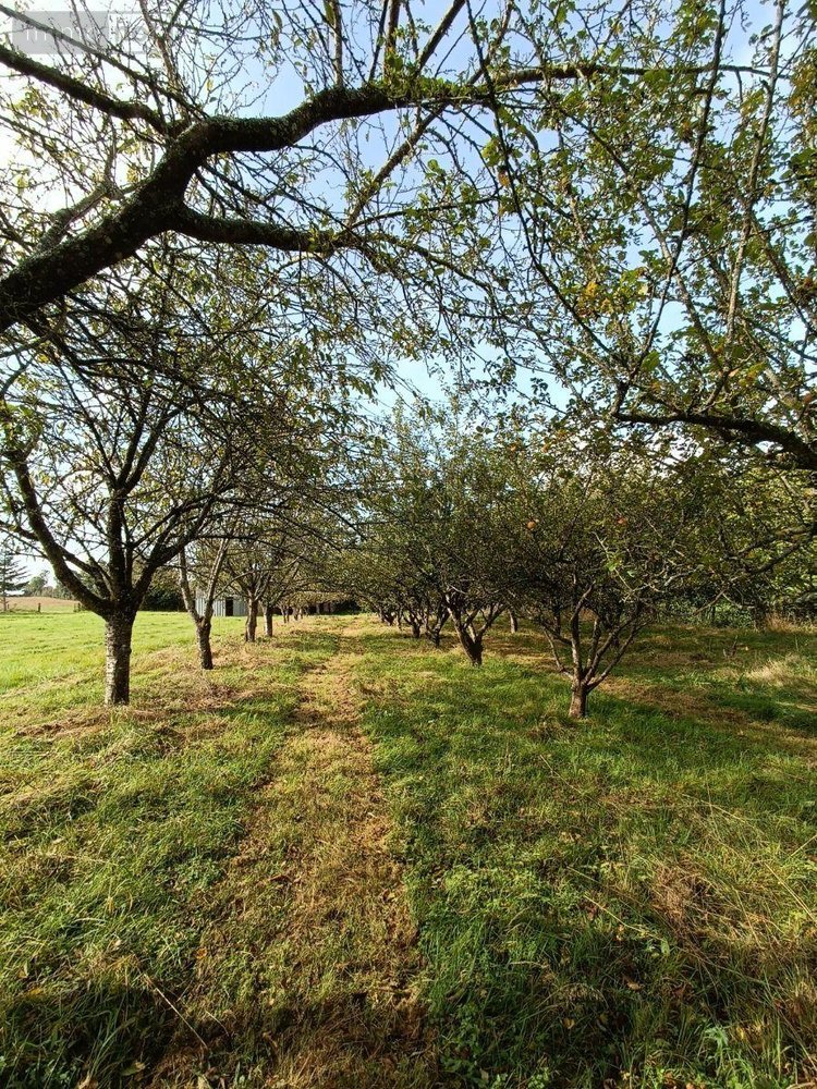 Terrains de loisirs bois etangs a vendre Villaines-la-Juhel 53700 Mayenne 9136 m2  31800 euros