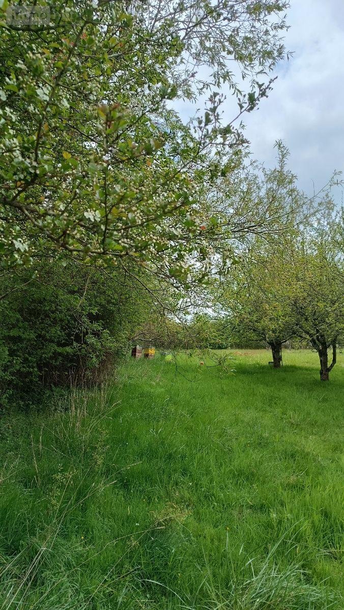 Terrains de loisirs bois etangs a vendre Villaines-la-Juhel 53700 Mayenne 9136 m2  31800 euros