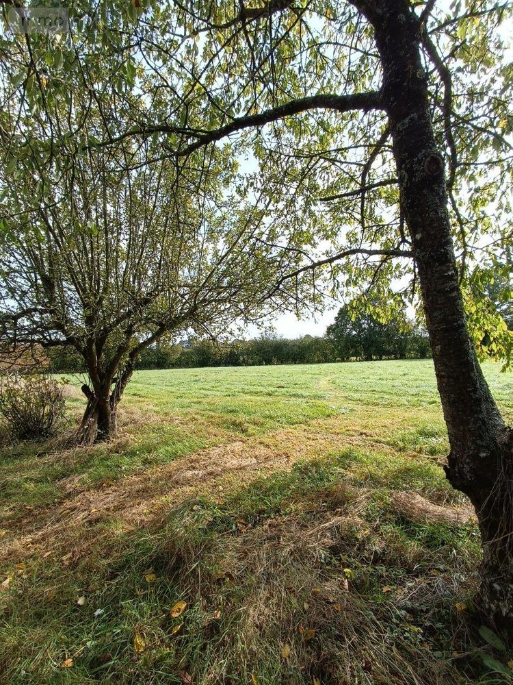 Terrains de loisirs bois etangs a vendre Villaines-la-Juhel 53700 Mayenne 9136 m2  31800 euros