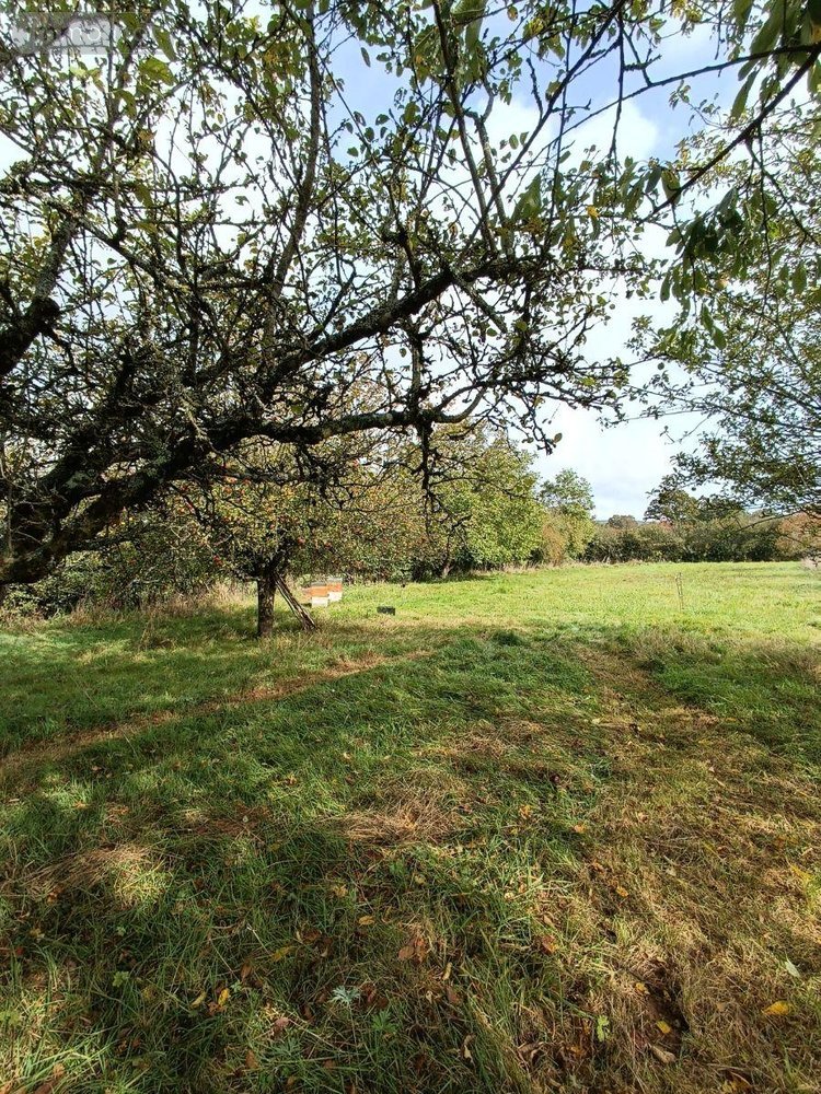 Terrains de loisirs bois etangs a vendre Villaines-la-Juhel 53700 Mayenne 9136 m2  31800 euros