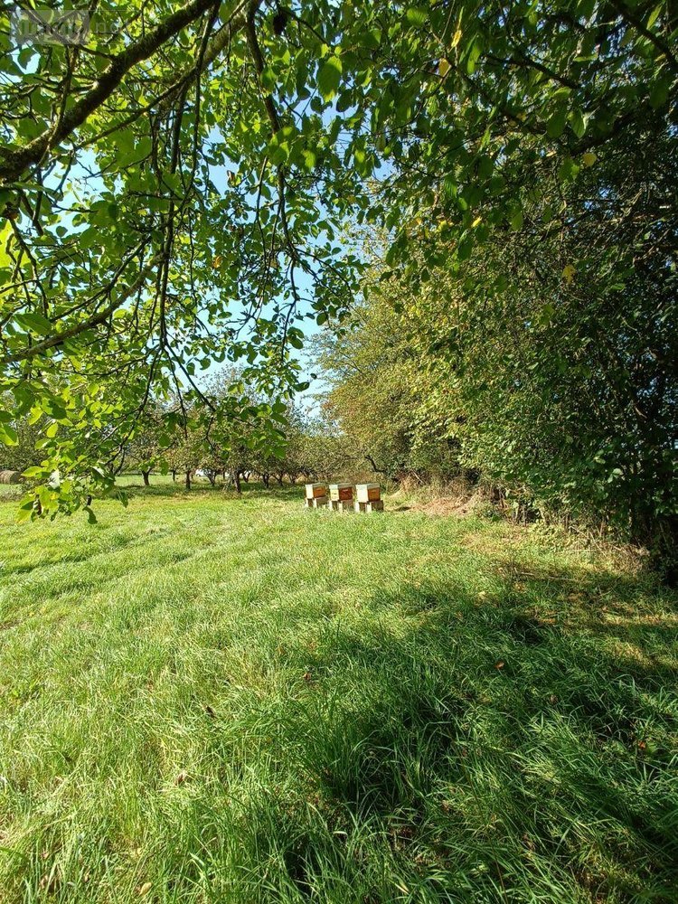 Terrains de loisirs bois etangs a vendre Villaines-la-Juhel 53700 Mayenne 9136 m2  31800 euros