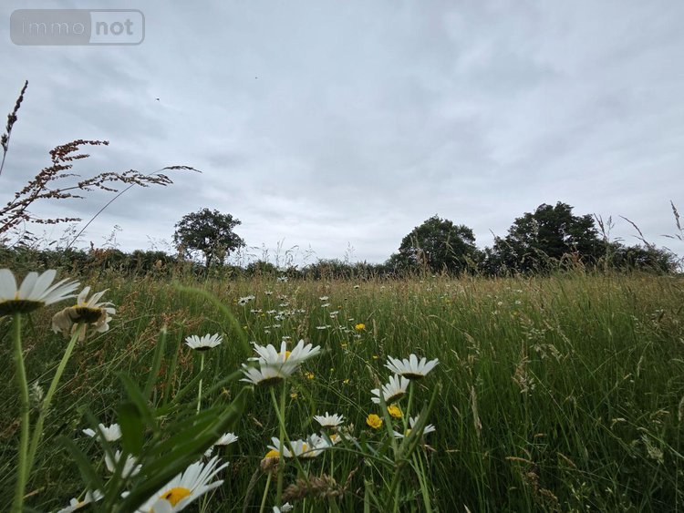 Terrains de loisirs bois etangs a vendre Villaines-la-Juhel 53700 Mayenne 9136 m2  31800 euros