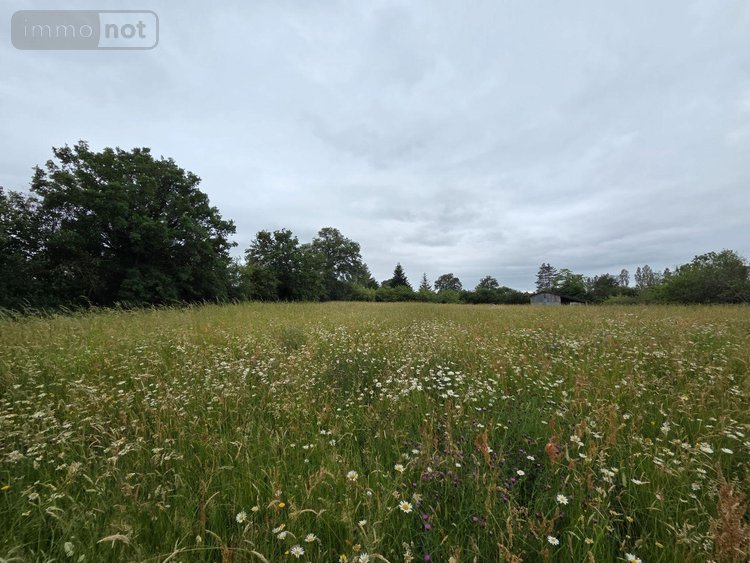 Terrains de loisirs bois etangs a vendre Villaines-la-Juhel 53700 Mayenne 9136 m2  31800 euros