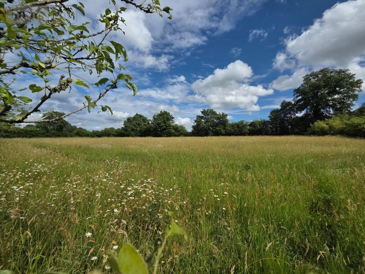 Terrains de loisirs bois etangs a vendre Villaines-la-Juhel 53700 Mayenne 9136 m2  31800 euros