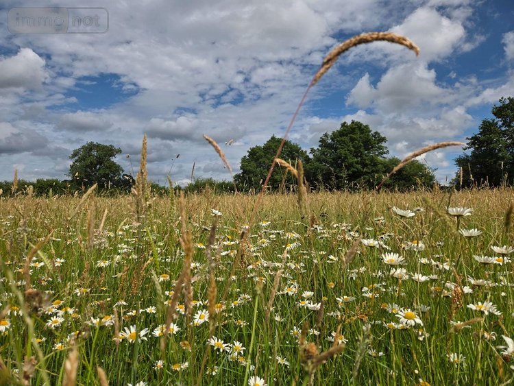 Terrains de loisirs bois etangs a vendre Villaines-la-Juhel 53700 Mayenne 9136 m2  31800 euros