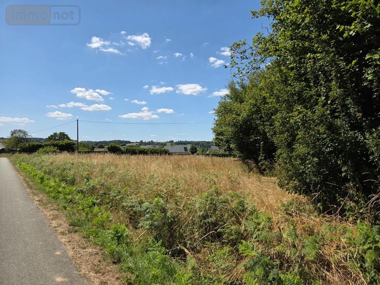 Terrains de loisirs bois etangs a vendre Saint-Léonard-des-Bois 72130 Sarthe 15320 m2  31800 euros
