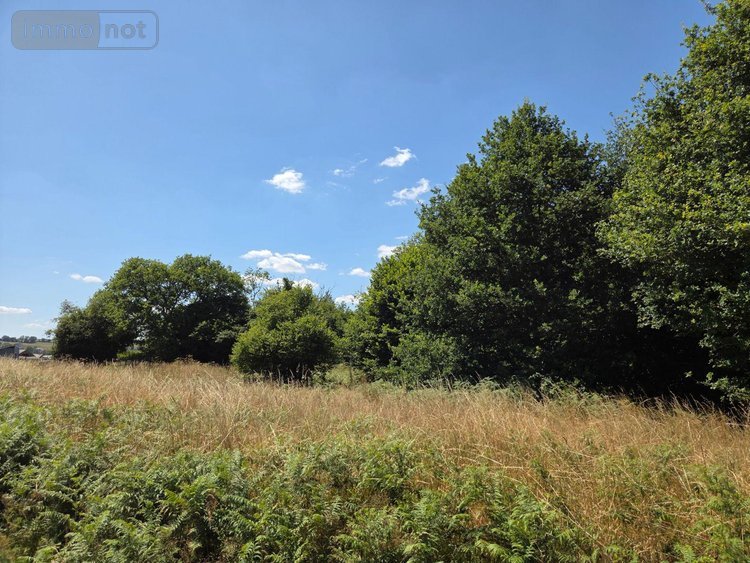 Terrains de loisirs bois etangs a vendre Saint-Léonard-des-Bois 72130 Sarthe 15320 m2  31800 euros