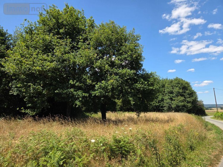 Terrains de loisirs bois etangs a vendre Saint-Léonard-des-Bois 72130 Sarthe 15320 m2  31800 euros