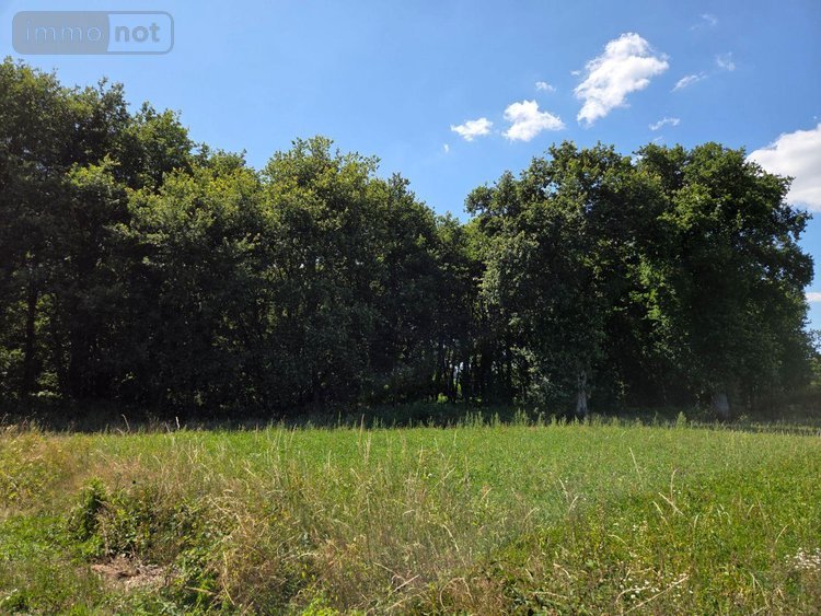 Terrains de loisirs bois etangs a vendre Saint-Léonard-des-Bois 72130 Sarthe 15320 m2  31800 euros
