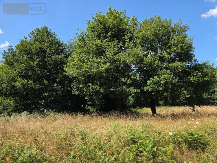Terrains de loisirs bois etangs a vendre Saint-Léonard-des-Bois 72130 Sarthe 15320 m2  31800 euros