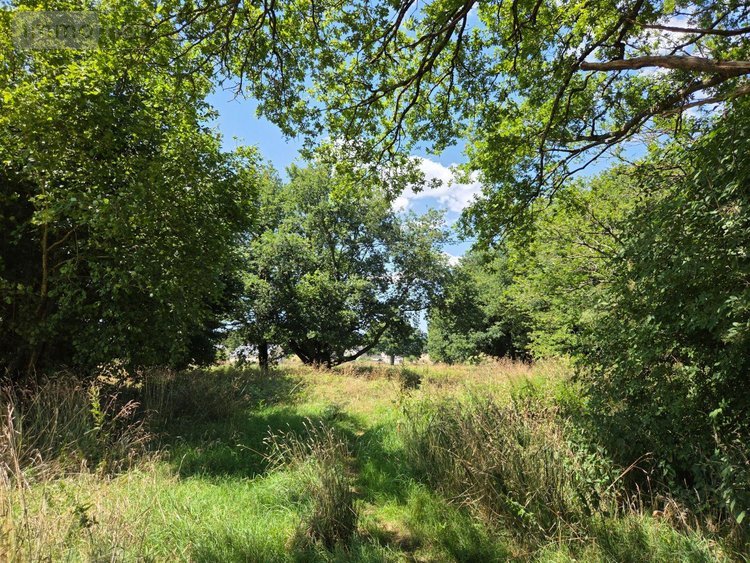 Terrains de loisirs bois etangs a vendre Saint-Léonard-des-Bois 72130 Sarthe 15320 m2  31800 euros