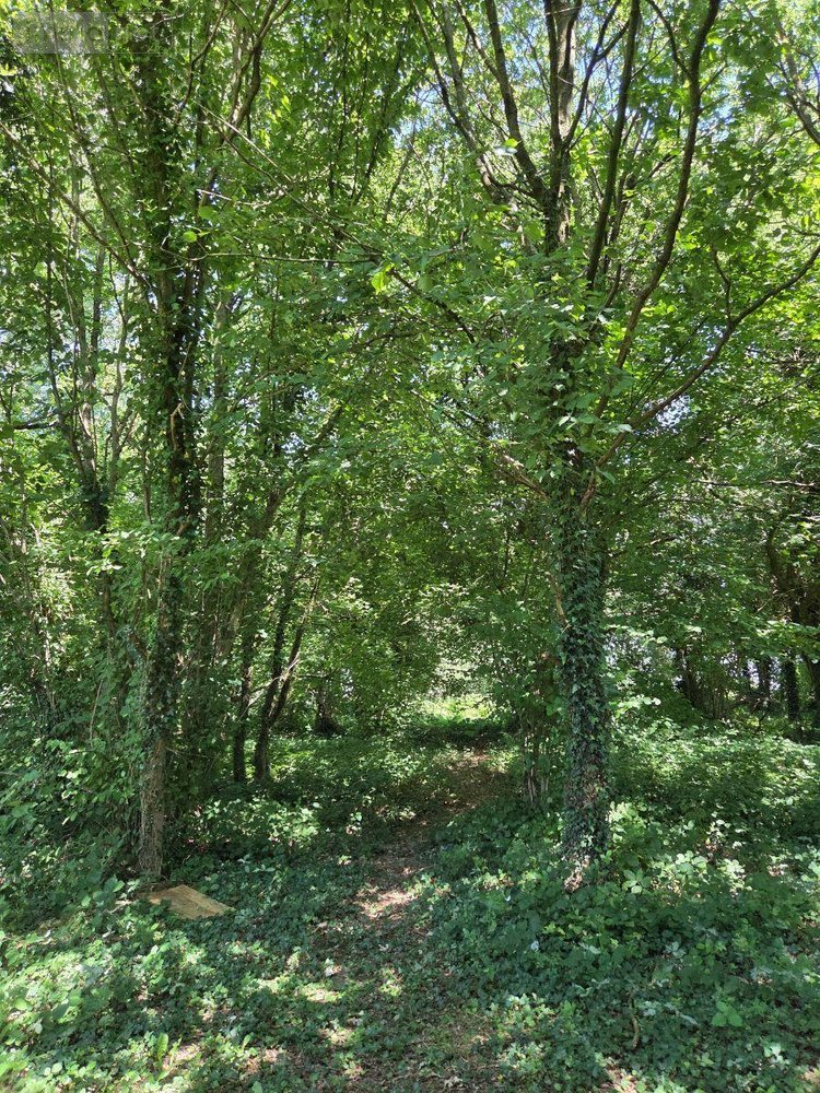 Terrains de loisirs bois etangs a vendre Saint-Léonard-des-Bois 72130 Sarthe 15320 m2  31800 euros