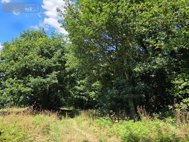 Terrains de loisirs bois etangs a vendre Saint-Léonard-des-Bois 72130 Sarthe 15320 m2  31800 euros
