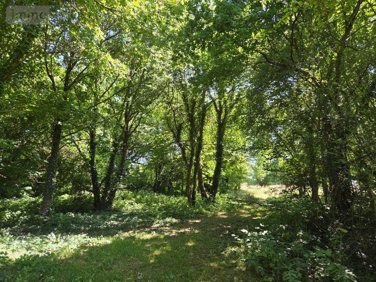 Terrains de loisirs bois etangs a vendre Saint-Léonard-des-Bois 72130 Sarthe 15320 m2  31800 euros
