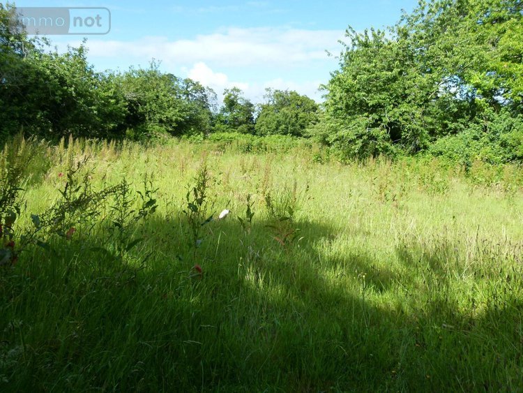 Maison a vendre Bannalec 29380 Finistère 78 m2  127200 euros