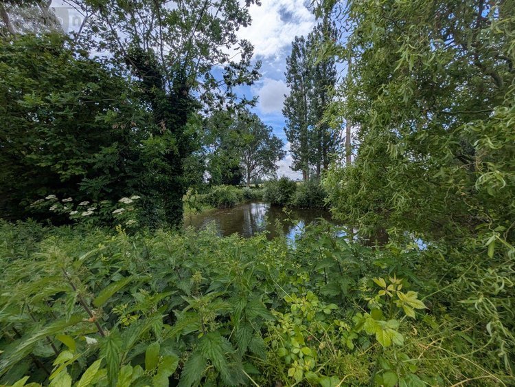 Maison a vendre Wormhout 59470 Nord 175 m2 6 pièces 430000 euros