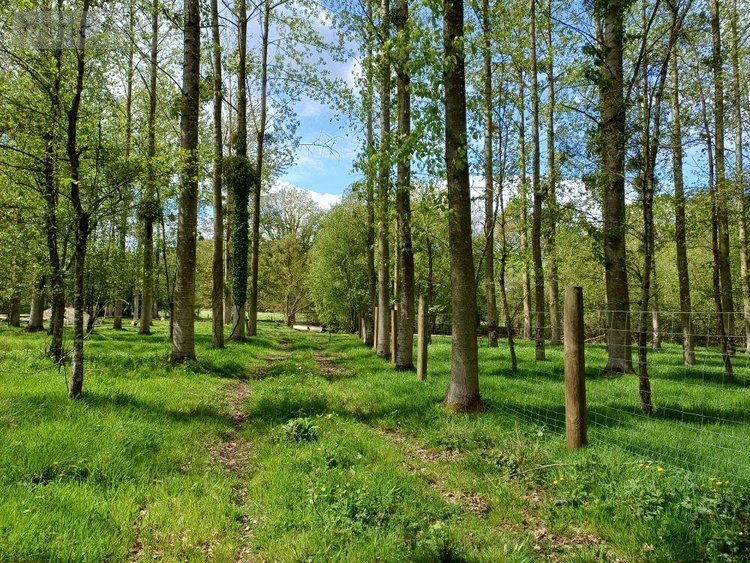 Terrains de loisirs bois etangs a vendre Quévert 22100 Côtes-d'Armor 13805 m2  105580 euros