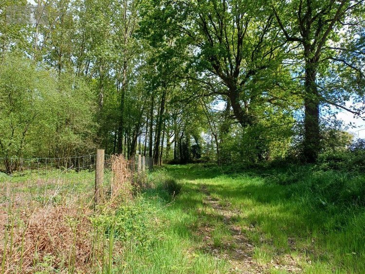 Terrains de loisirs bois etangs a vendre Quévert 22100 Côtes-d'Armor 13805 m2  105580 euros