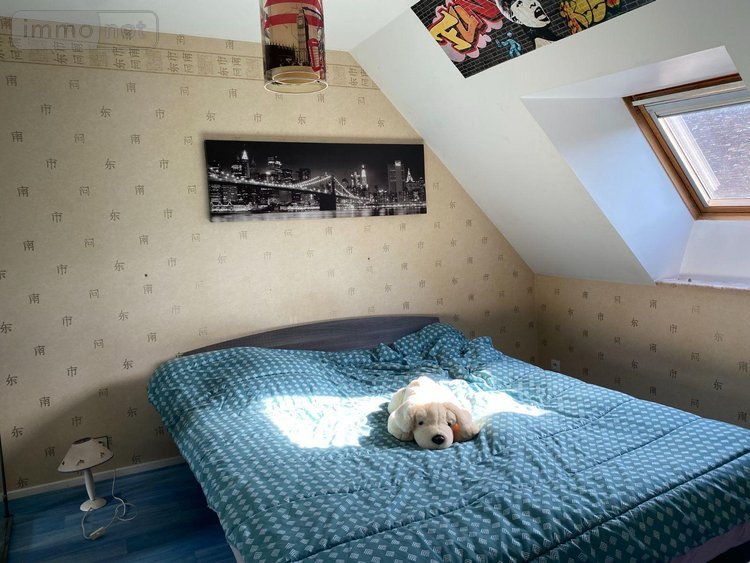 Maison a vendre Palluau-sur-Indre 36500 Indre 203 m2 9 pièces 287000 euros