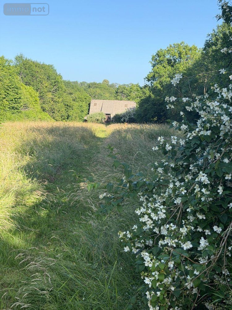 Maison a vendre Mauriac 15200 Cantal 10 pièces 212000 euros