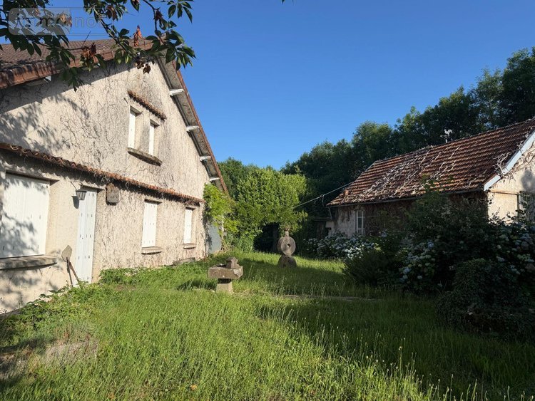 Maison a vendre Mauriac 15200 Cantal 10 pièces 212000 euros