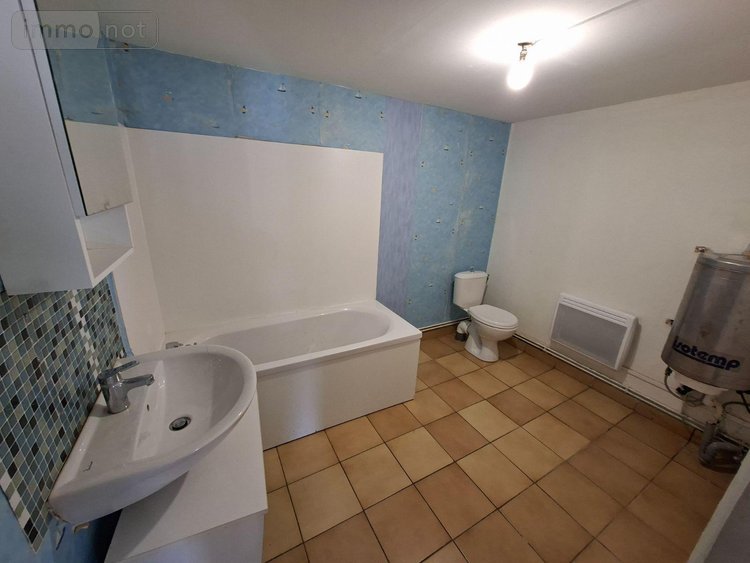 Maison a vendre Flaumont-Waudrechies 59440 Nord 247 m2  220000 euros