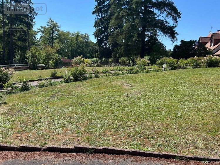 Maison a vendre La Ferté-Saint-Cyr 41220 Loir-et-Cher 193 m2 9 pièces 294000 euros
