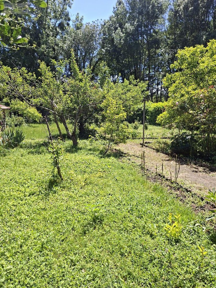 Maison a vendre Le Mans 72000 Sarthe 85 m2 5 pièces 117000 euros
