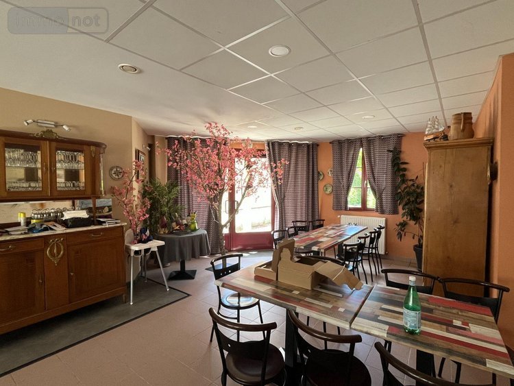 Immeuble a vendre Cunfin 10360 Aube 273 m2  209250 euros
