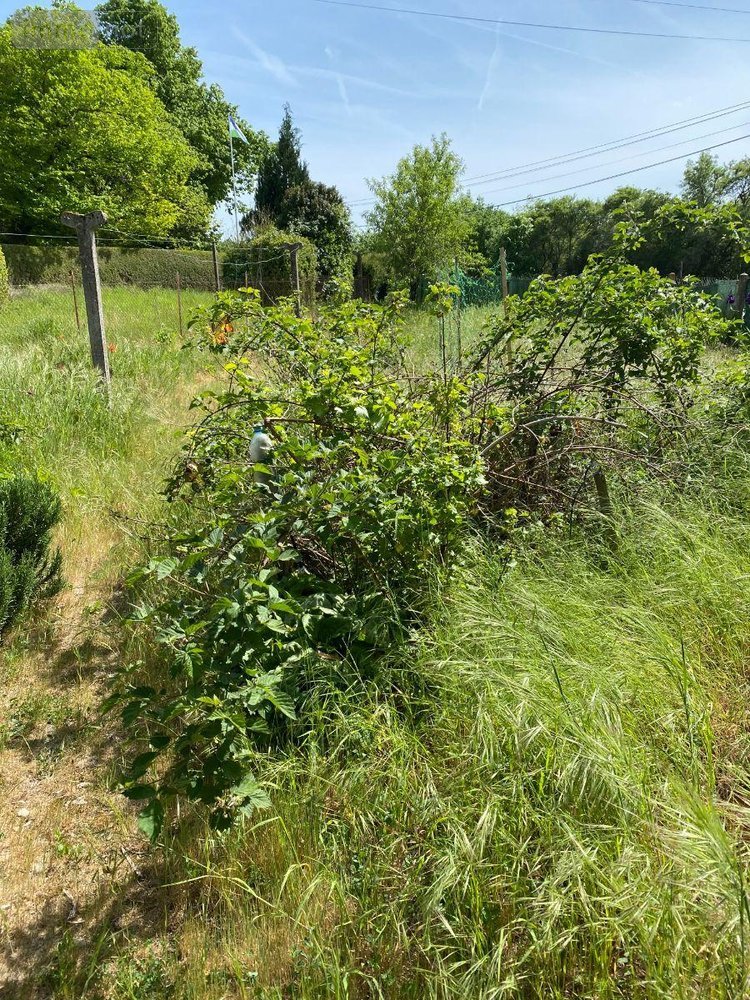 Maison a vendre Châtillon-sur-Indre 36700 Indre 92 m2 6 pièces 64800 euros