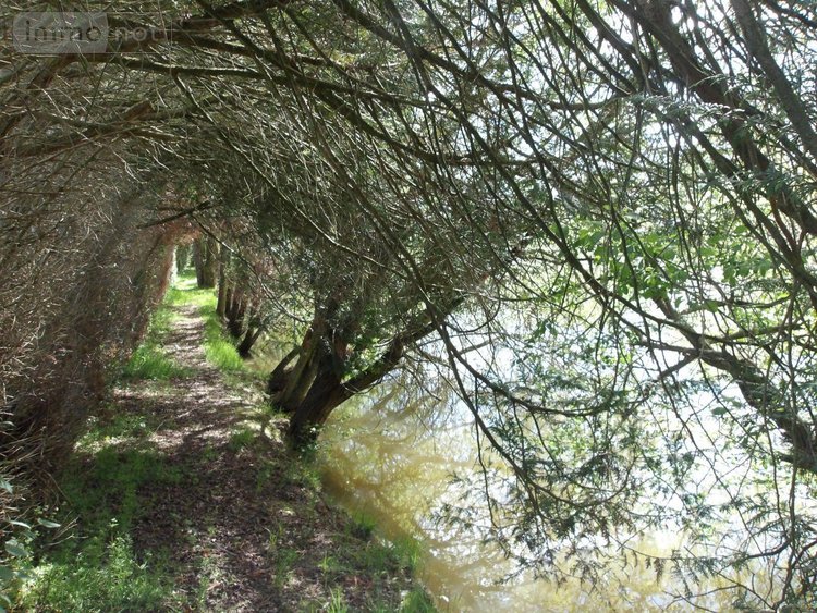 propriete a vendre Bétête 23270 Creuse 90 m2 6 pièces 127920 euros