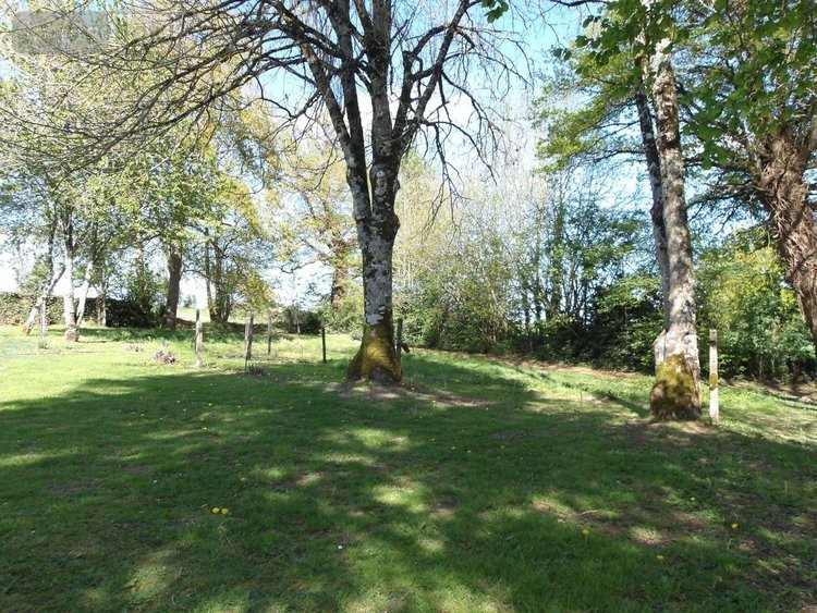 propriete a vendre Bétête 23270 Creuse 90 m2 6 pièces 127920 euros